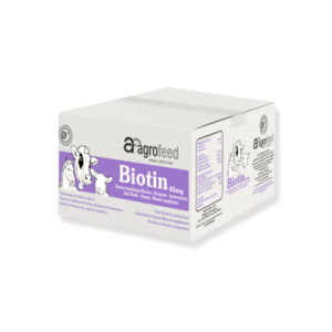 Biotin 45mg -  Πλάκες Λείξεως Βιοτίνης 5kg