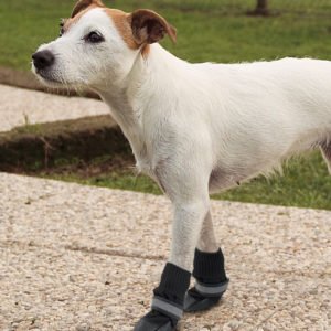 Ferplast Protective Παπούτσια Σκύλου Μαύρα 2τμχ