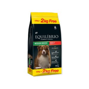 Equilibrio Adult Medium Breed