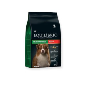 Equilibrio Adult Medium Breed