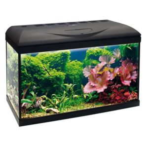 Amtra  Ενυδρείο Basic 80 Led 80x45x32 cm