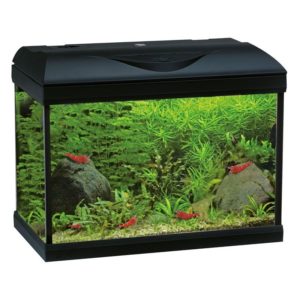 Amtra Ενυδρείο Riviera 40 Led Coldwater Black 42×23,5×33 cm