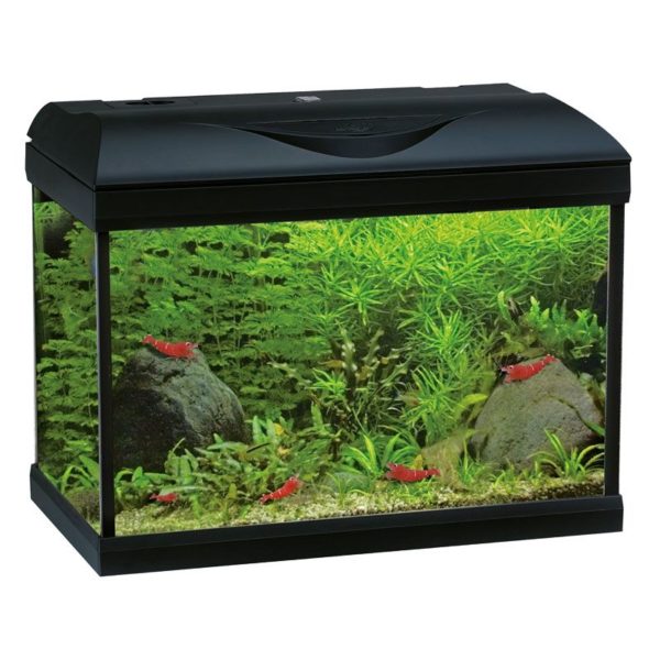 AMTRA ΕΝΥΔΡΕΙΟ RIVIERA 40 LED COLDWATER BLACK 42x23,5x33 cm