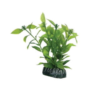 Hobby Διακοσμητικό Φυτό Ενυδρείου Hygrophila 13cm