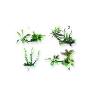 Amtra Διακοσμητικό Ενυδρείου Φυτό Σε Ξύλο 25-30 cm
