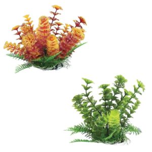 Tatrapet Διακοσμητικά Φυτά Ενυδρείου Ambulia 15-18cm (183.38)