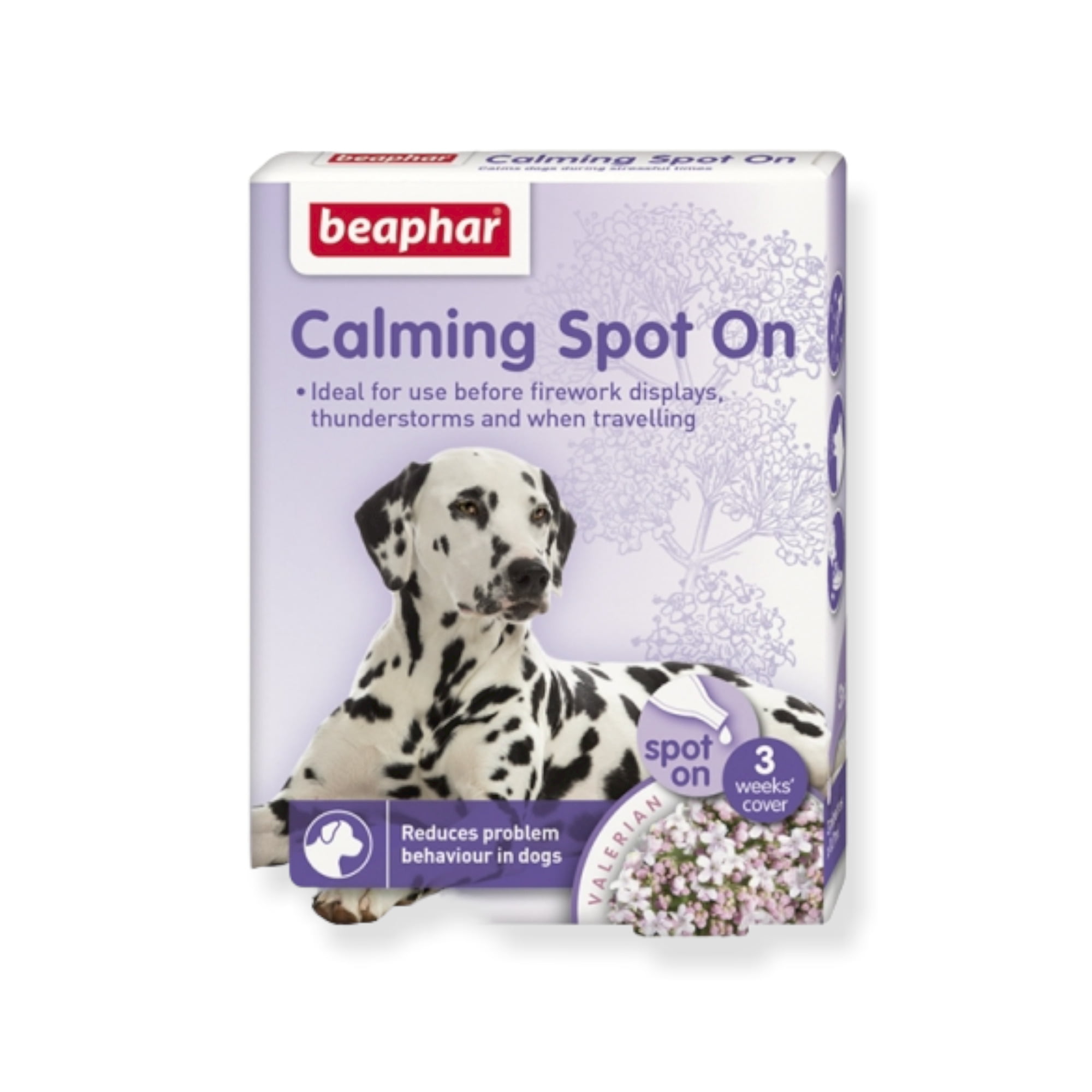 Calming Spot – on Dog