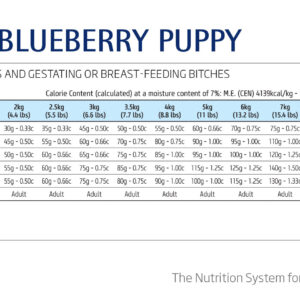 N&D Dog Pumpkin Lamb & Blueberry Puppy Mini 2,5 Kg N&D Dog Pumpkin Lamb & Blueberry Puppy Mini 2,5 Kg